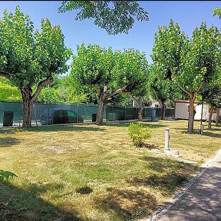 L'Oasi Di Lulu' Hotel Senigallia Eksteriør billede