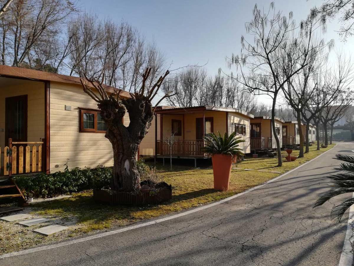 L'Oasi Di Lulu' Hotel Senigallia Eksteriør billede