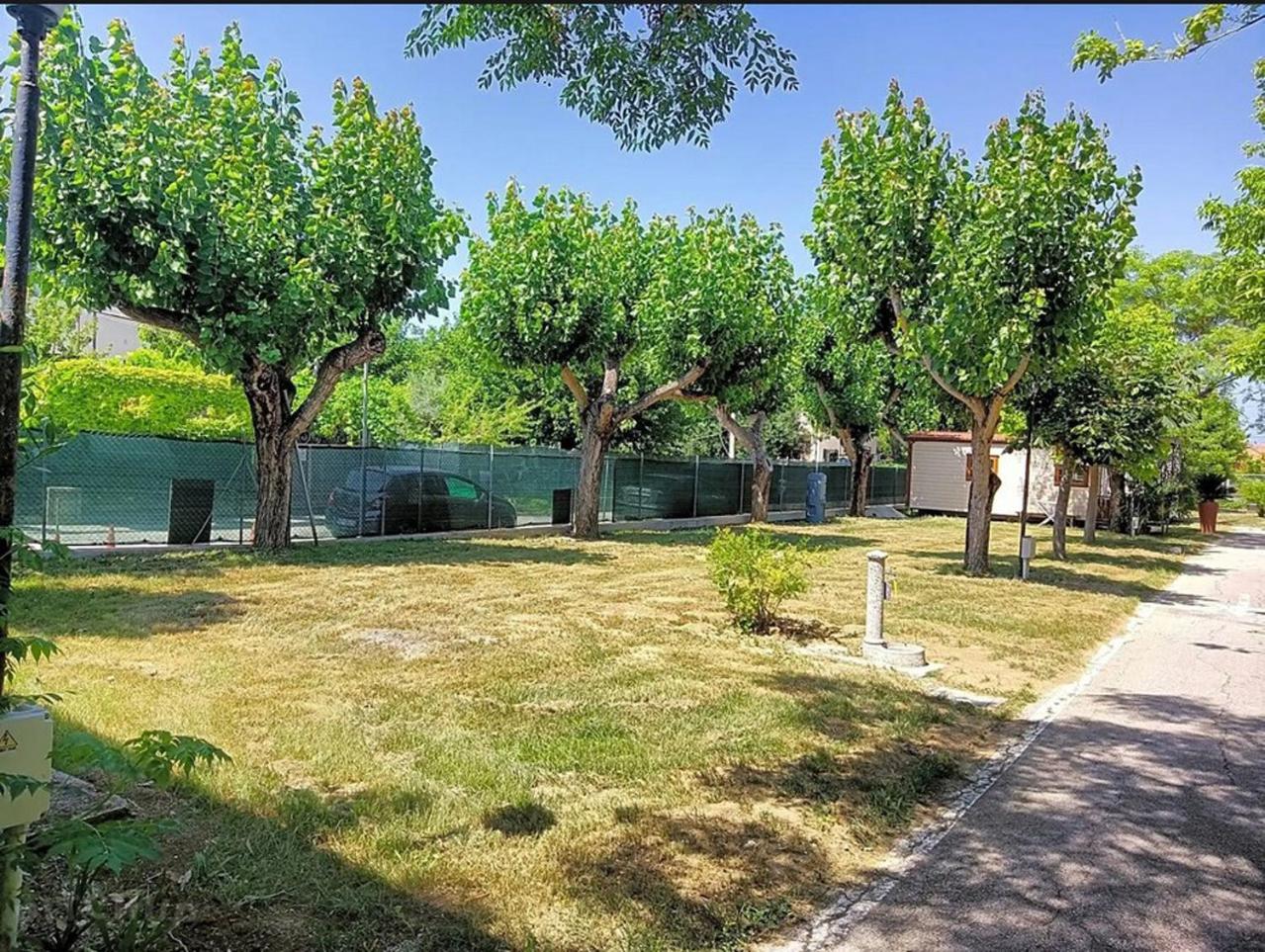 L'Oasi Di Lulu' Hotel Senigallia Eksteriør billede