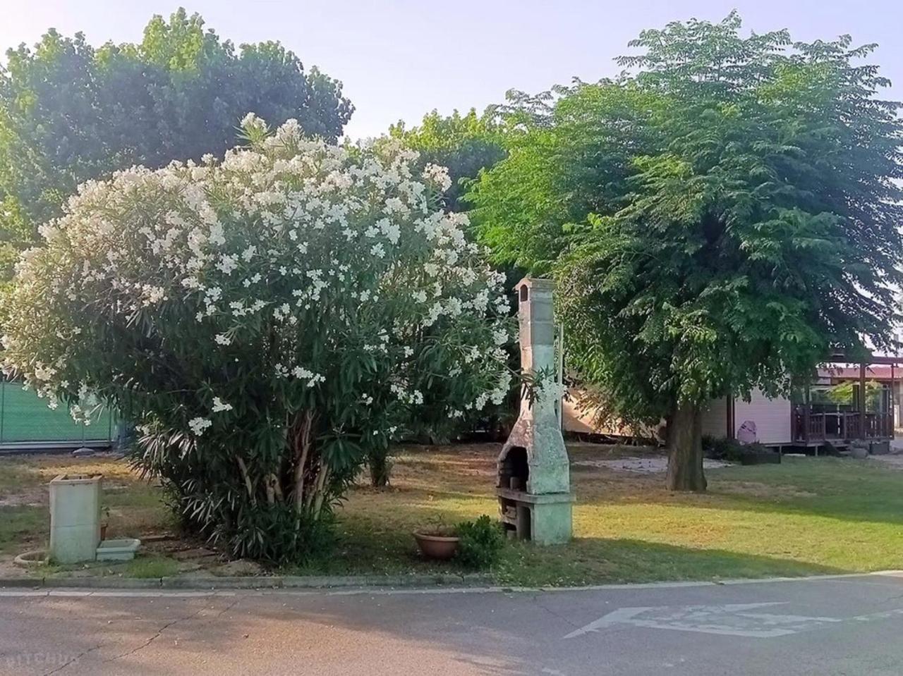 L'Oasi Di Lulu' Hotel Senigallia Eksteriør billede